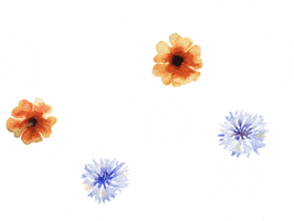 Floating Flower Power GIF by art of madeleine