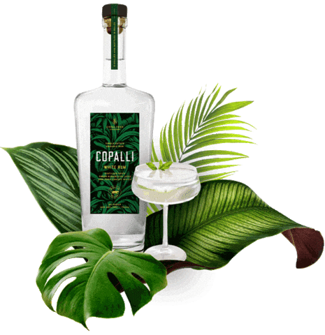 CopalliRumUS Sticker