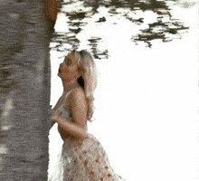 Tree Sabrina GIF