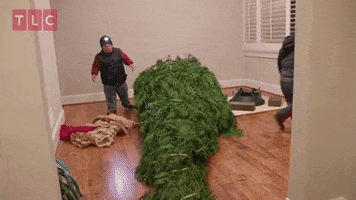 Tired Christmas Tree GIF by TLC Europe