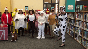 Bee Cave Public Library GIF