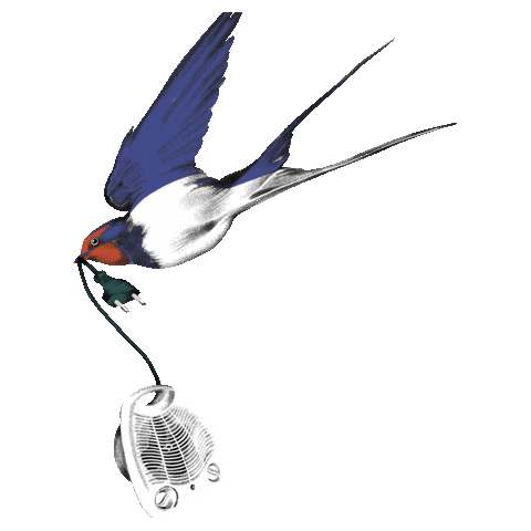 Magazin Sticker by Amazing Places