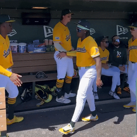 Baseball Handshake GIF by MLB