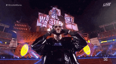 Giphy - Bad Bunny Sport GIF by WWE