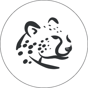 Haych Jewelry Sticker