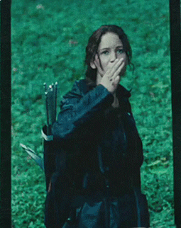 The Hunger Games Hunger Games Gif - IceGif