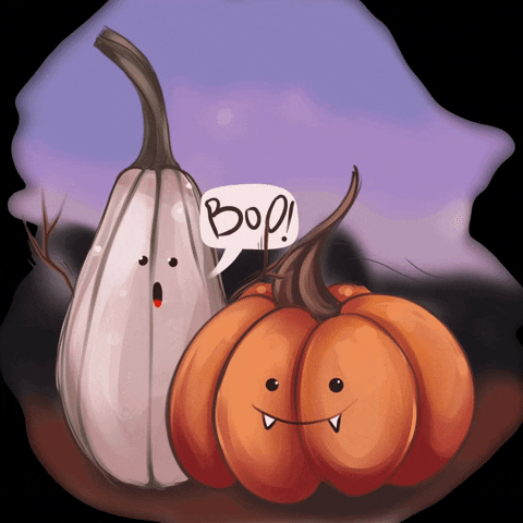 Pumpkin Boo GIF