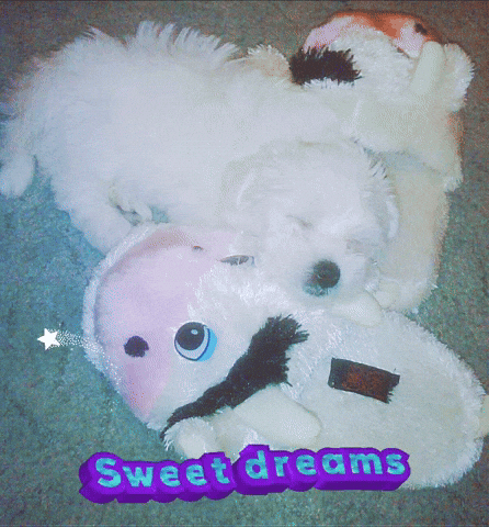 Sleepy Sweet Dreams GIF