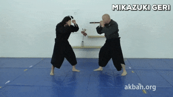 martial arts fight GIF by AKBAN Academy