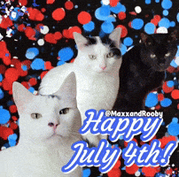 Independence Day Cats GIF