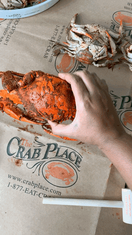 Seafood Crabs GIF by The Crab Place