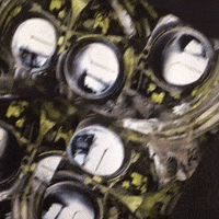 200.gif?cid=fc005b08d7605e044b0036dde08d131f075d6dfeae808c43&rid=200.gif&ct=g
