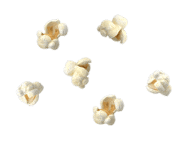 Popcorn Sticker by City Beach Australia