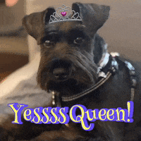 Crown Yes Queen GIF by Hello Media