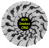 snakes