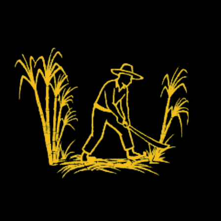 Zafra GIF by Arehucas