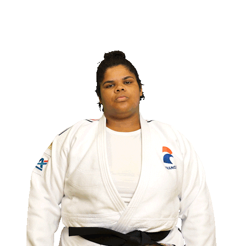 Respect Presentation Sticker by France Judo