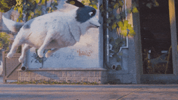 Excited Air GIF by Bank Of Georgia