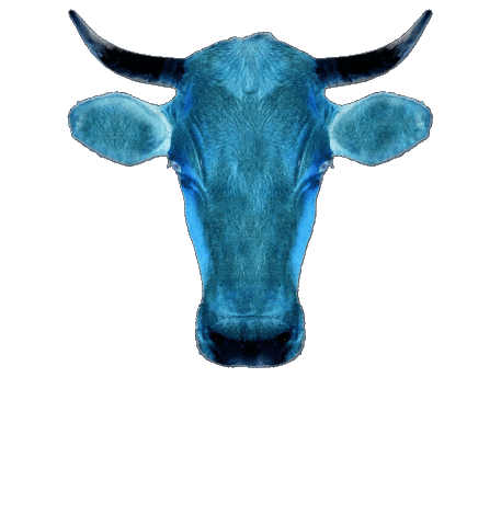 Reel Sticker by Projekt Lebenslänglich