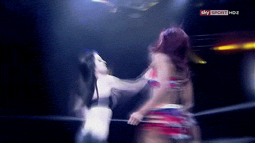 elimination chamber
