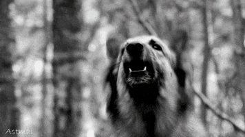 barking black and white GIF