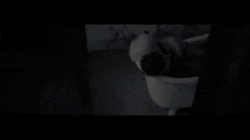 sheilahanafitriani monsta x minhyuk all in hyungwon GIF