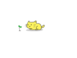 cat GIF