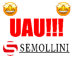 Semollini Planejados Sticker