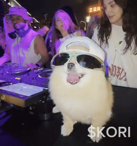 Dance Party GIF