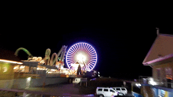 Jersey Shore Summer Vibes GIF by No Cheese Records