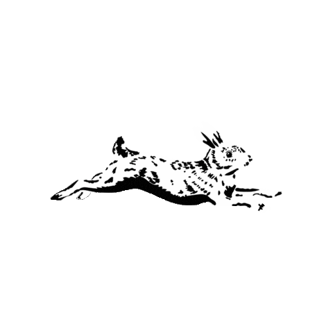 The White Rabbit Coffee House Sticker