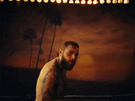Tattoos Chemical GIF by Post Malone