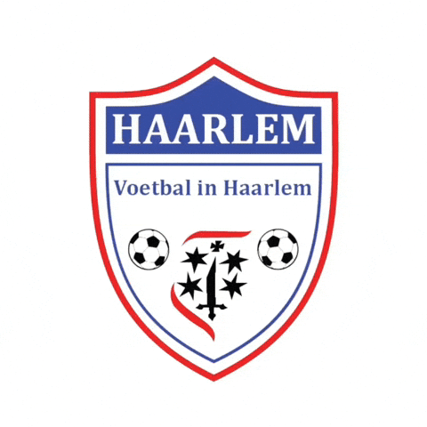 Voetbal in Haarlem GIF