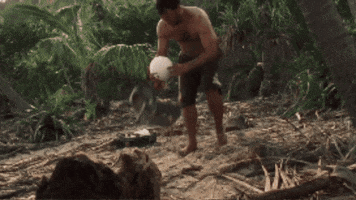 Wilson GIF