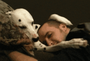  dog hug feel better get well animals spooning GIF