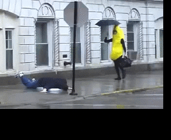 giphy.gif