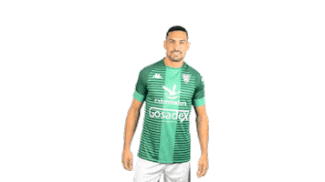 Sticker by C. F. Villanovense