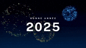 Bonne Année 2025 ✨