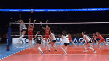 Awesome Lets Go GIF by Volleyball World