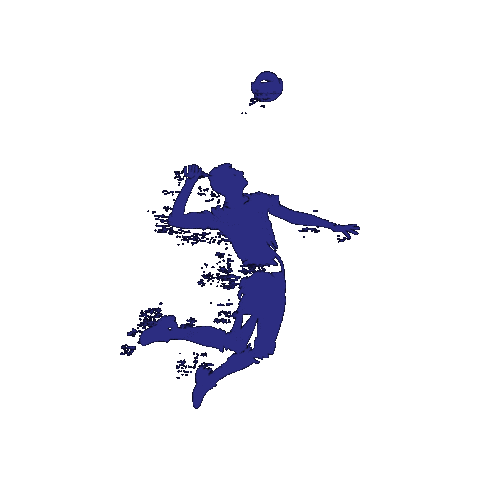 Tsd Sticker by TS Durlach Volleyball