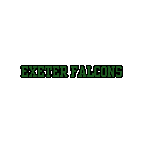 Falcons Sticker