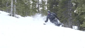 Snowboarding Road Trip GIF by ikonpass