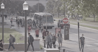 200.gif?cid=fc005b08489f8b69f989f5b140cdad36de245c1d8f9de5e3&rid=200.gif&ct=g