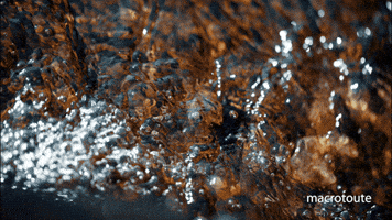 Water Japan GIF