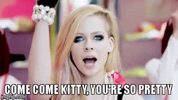 Do you like Avril Lavigne