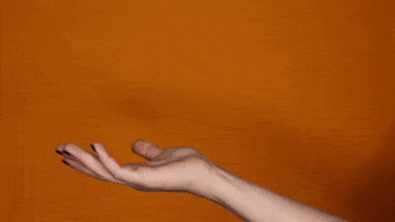 200.gif?cid=fc005b08689c37ea7e9231892b7cec570529006bfe0a16b4&rid=200.gif&ct=g