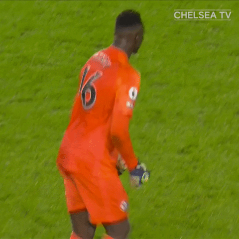 Cfc GIF by Chelsea FC - Find & Share on GIPHY