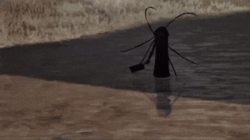 Jjk Jujutsu Kaisen GIF