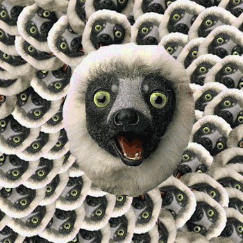 Lemur Terrifying GIF - Find & Share on GIPHY