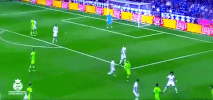 FLC  GIF